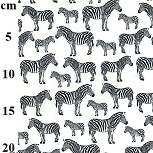 Black & White Zebra Print - 100% Pure Cotton Poplin Fabric