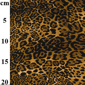 Leopard Spots Printed Pure Cotton Poplin Fabric